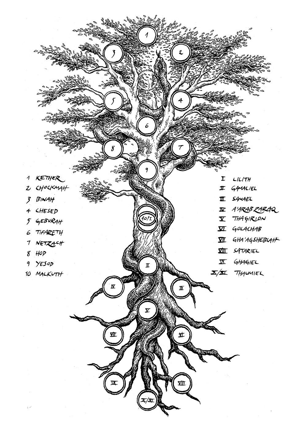 Intro to Dragonology 01: The simulation we are living in is a Dragon's Dream