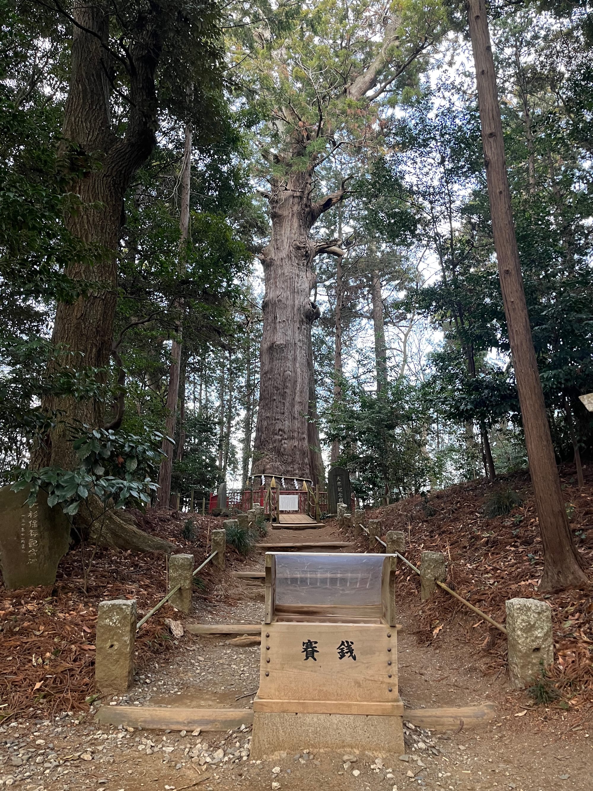 Makata Shrine and the Sun Moon Revelations