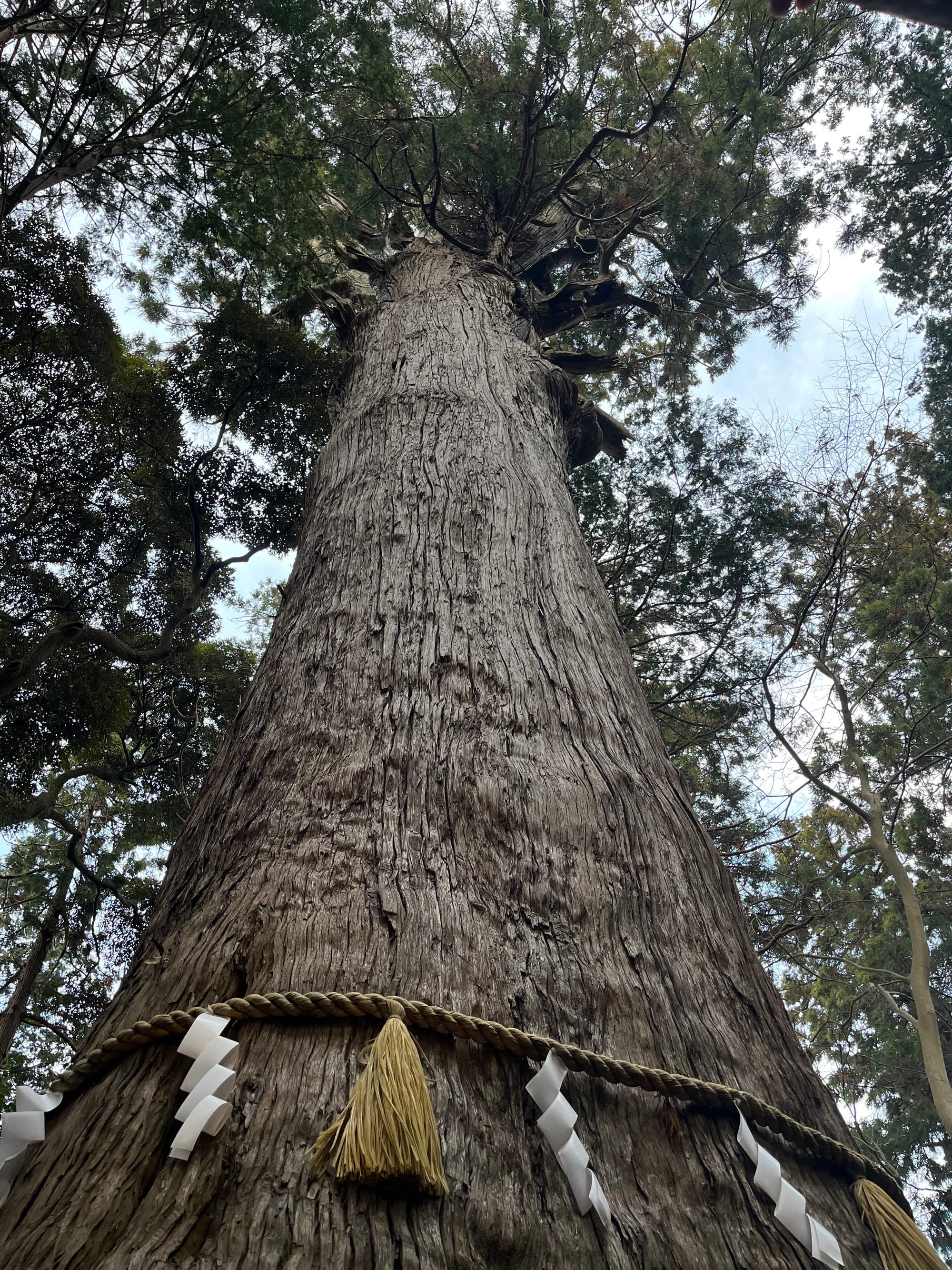 Makata Shrine and the Sun Moon Revelations