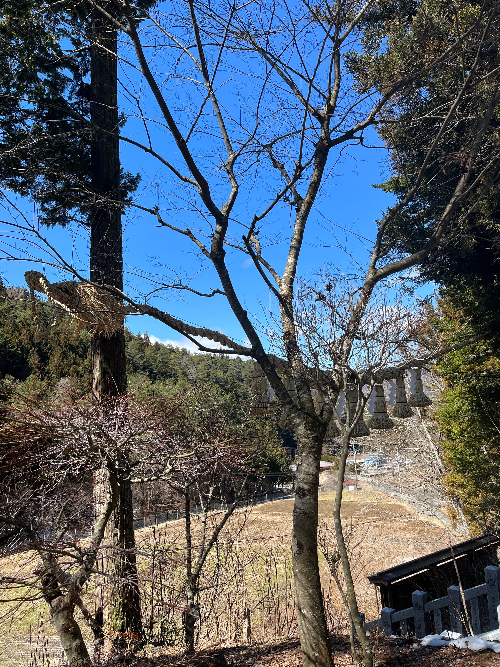 Fuji Asoyama Grand Shrine and the Lost Continent of Mu