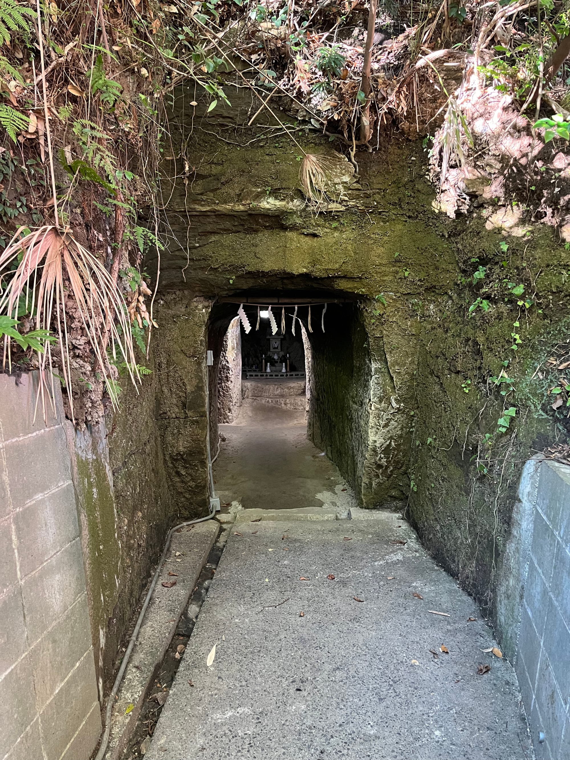 Koso Kotai Shrine and the Takenouchi Documents