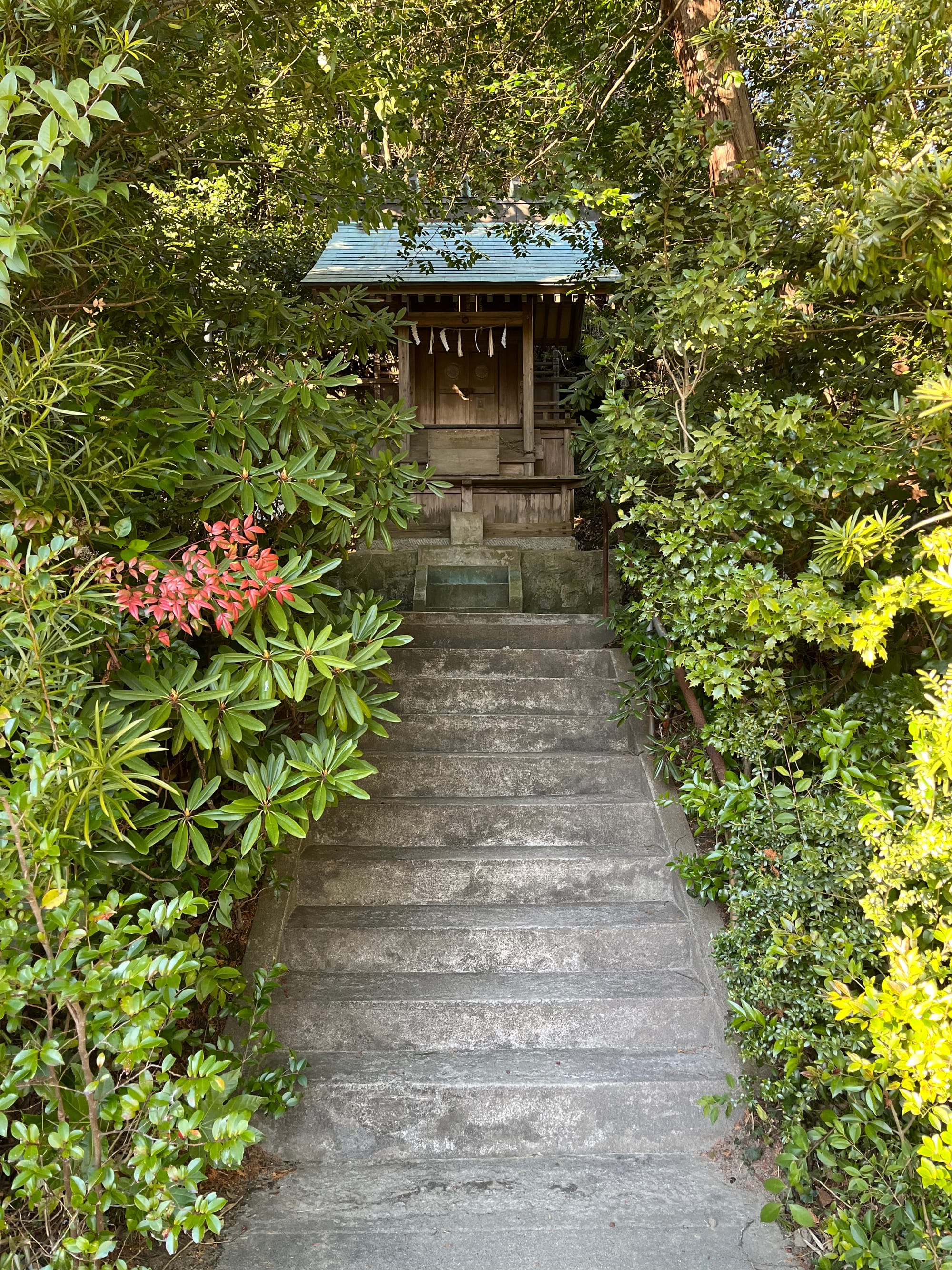 Koso Kotai Shrine and the Takenouchi Documents