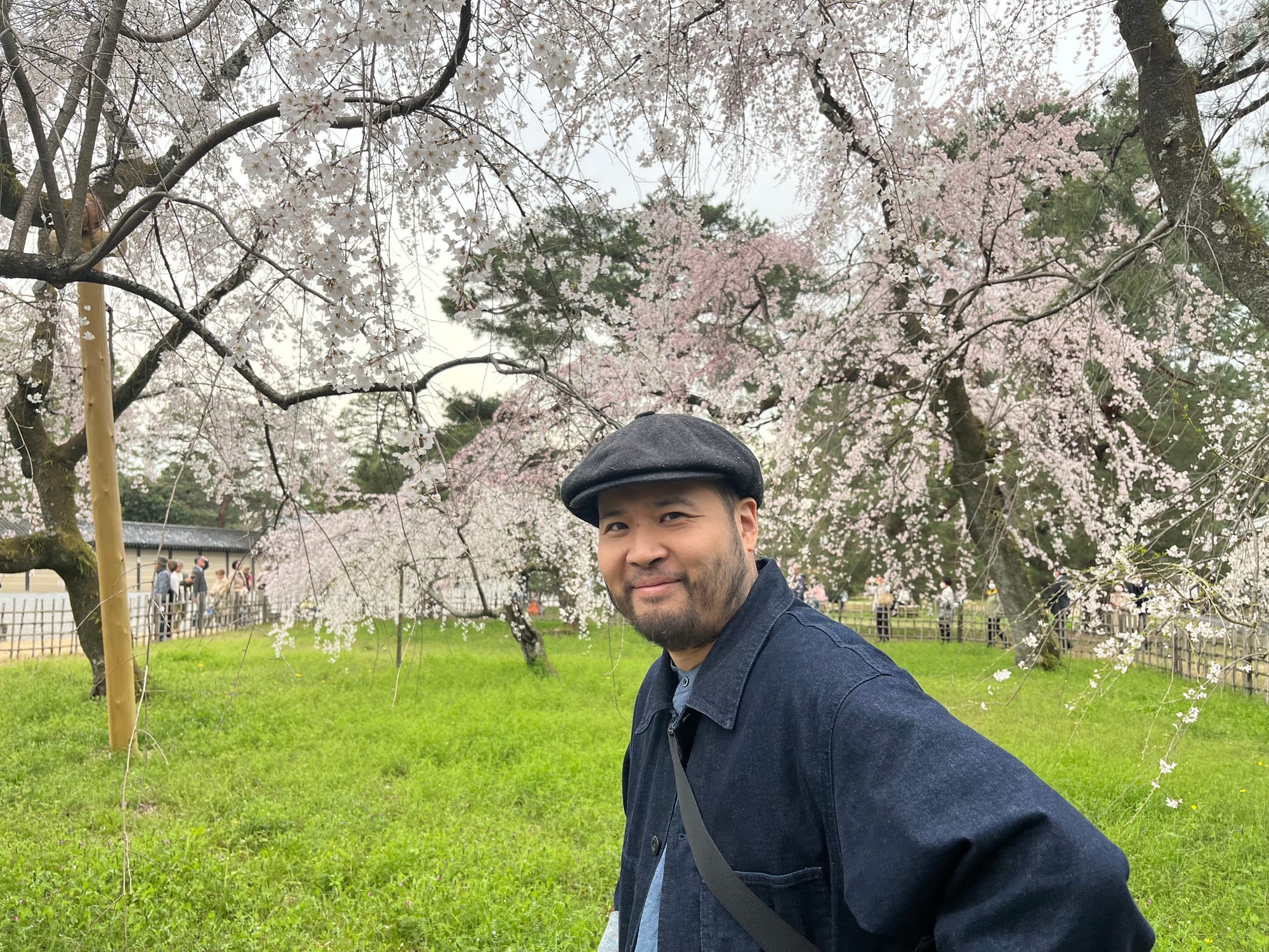 Sacred Sakura Season