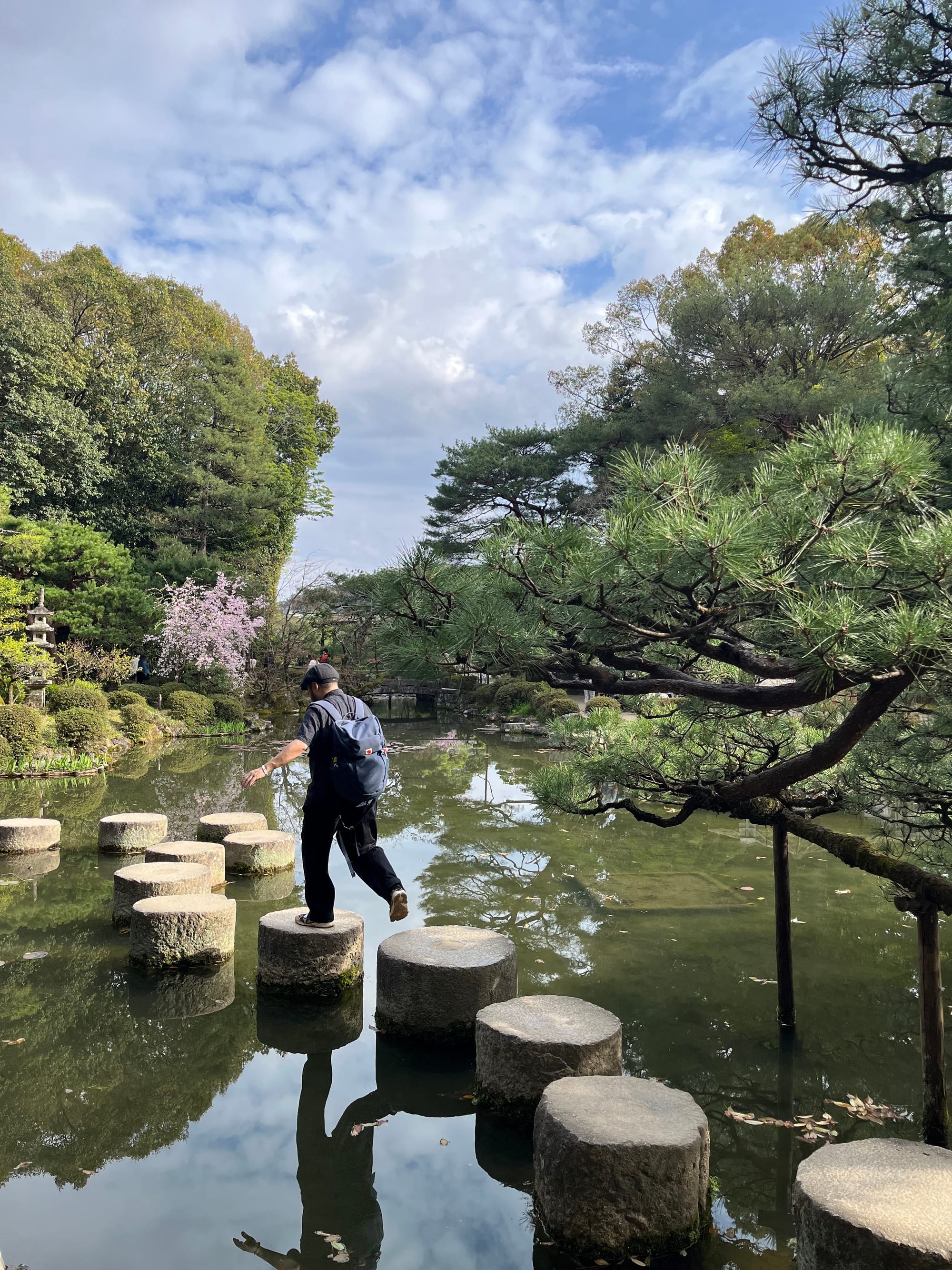 Sacred Sakura Season